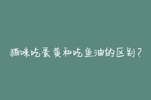 猫咪吃蛋黄和吃鱼油的区别?-动物百科