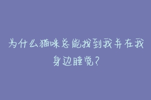 为什么猫咪总能找到我并在我身边睡觉?-动物百科