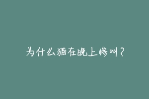 为什么猫在晚上惨叫?-动物百科