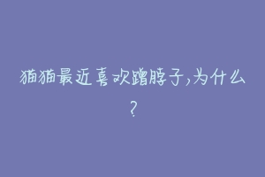 猫猫最近喜欢蹭脖子,为什么?-动物百科