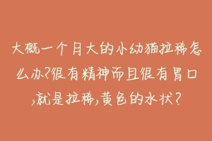 大概一个月大的小幼猫拉稀怎么办?很有精神而且很有胃口,就是拉稀,黄色的水状?-动物百科