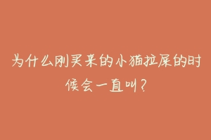 为什么刚买来的小猫拉屎的时候会一直叫?-动物百科