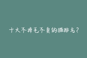 十大不掉毛不臭的猫排名?-动物百科