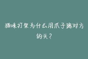 猫咪打架为什么用爪子踢对方的头?-动物百科