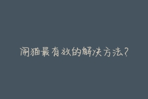闹猫最有效的解决方法?-动物百科
