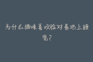 为什么猫咪喜欢脸对着地上睡觉?-动物百科