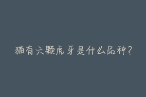猫有六颗虎牙是什么品种?-动物百科