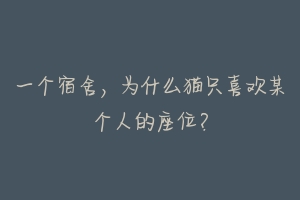 一个宿舍,为什么猫只喜欢某个人的座位?-动物百科