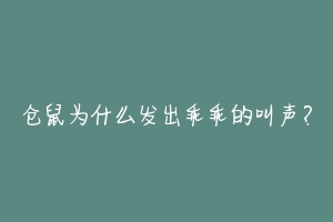 仓鼠为什么发出乖乖的叫声?-动物百科