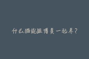 什么猫能跟博美一起养?-动物百科