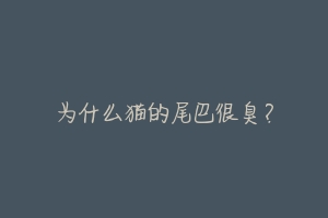 为什么猫的尾巴很臭？-动物百科