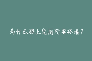 为什么猫上完厕所要抓墙？-动物百科