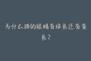 为什么猫的眼睛有绿色还有黄色？-动物百科