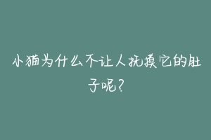 小猫为什么不让人抚摸它的肚子呢？-动物百科