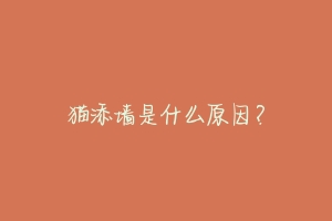 猫添墙是什么原因?-动物百科