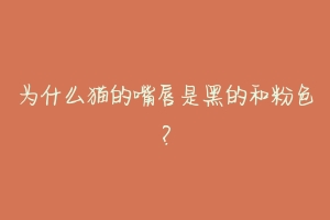 为什么猫的嘴唇是黑的和粉色?-动物百科
