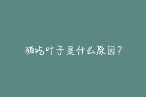 猫吃叶子是什么原因?-动物百科