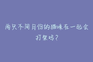 两只不同月份的猫咪在一起会打架吗?-动物百科