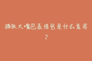 猫张大嘴巴表情包是什么意思?-动物百科