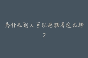 为什么别人可以把猫养这么胖？-动物百科