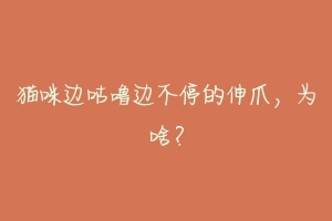 猫咪边咕噜边不停的伸爪,为啥?-动物百科