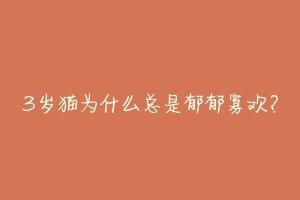 3岁猫为什么总是郁郁寡欢?-动物百科