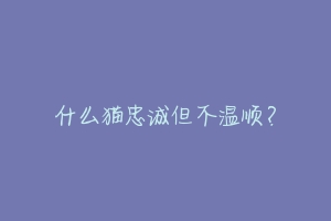 什么猫忠诚但不温顺?-动物百科