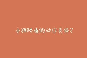 小猫爬墙的动作具体?-动物百科