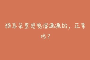 猫耳朵里感觉湿漉漉的,正常吗?-动物百科