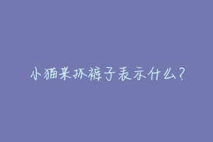 小猫来抓裤子表示什么?-动物百科