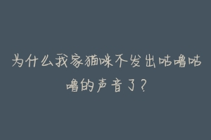 为什么我家猫咪不发出咕噜咕噜的声音了?-动物百科