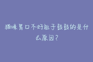 猫咪胃口不好肚子鼓鼓的是什么原因?-动物百科