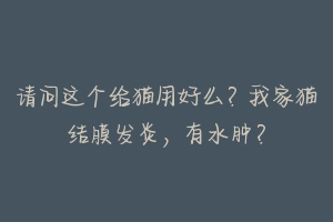 请问这个给猫用好么?我家猫结膜发炎,有水肿?-动物百科