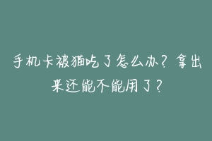 手机卡被猫吃了怎么办?拿出来还能不能用了?-动物百科