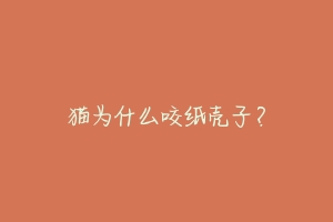 猫为什么咬纸壳子?-动物百科