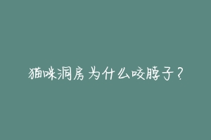 猫咪洞房为什么咬脖子？-动物百科