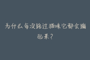 为什么每次路过猫咪它都会蹦起来?-动物百科