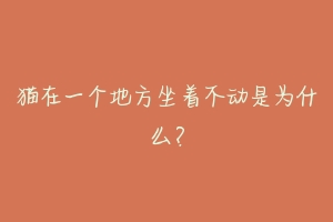 猫在一个地方坐着不动是为什么?-动物百科