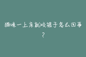 猫咪一上床就咬被子怎么回事?-动物百科