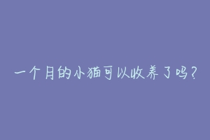 一个月的小猫可以收养了吗？-动物百科