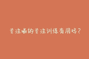 专注喵的专注训练有用吗?-动物百科