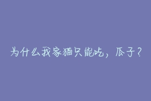 为什么我家猫只能吃,瓜子?-动物百科