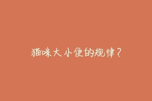 猫咪大小便的规律?-动物百科