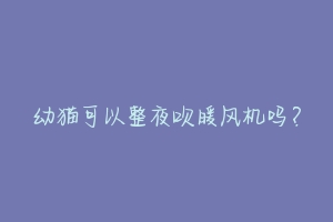 幼猫可以整夜吹暖风机吗?-动物百科