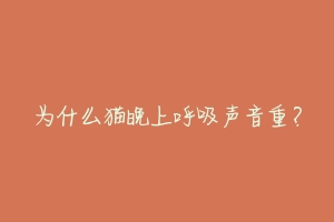 为什么猫晚上呼吸声音重?-动物百科