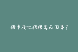 猫半夜吐猫粮怎么回事?-动物百科