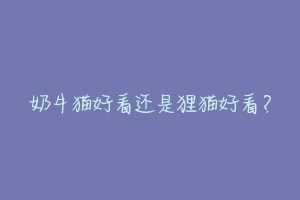 奶牛猫好看还是狸猫好看?-动物百科