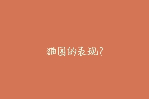 猫困的表现?-动物百科