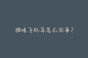 猫咪飞机耳怎么回事?-动物百科