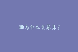 猫为什么会尿床?-动物百科